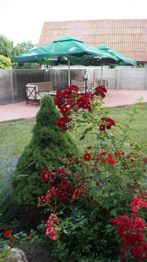 Hotel Bourbon Vama Veche Bagian luar foto